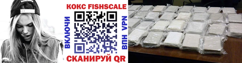 COCAIN Fish Scale цена наркотик Нарьян-Мар
