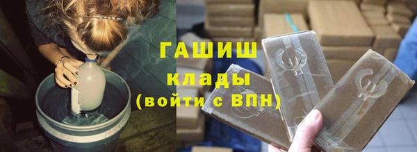 шишки Алзамай
