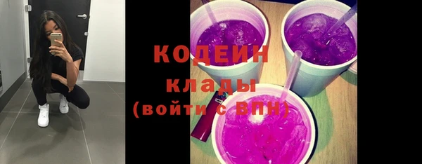 шишки Алзамай