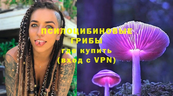шишки Алзамай