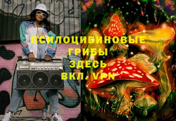 крисы Алексеевка