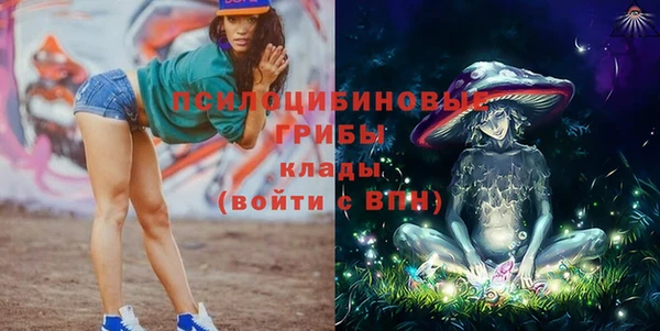 крисы Алексеевка