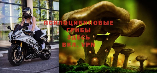 эйфоретик Алексин
